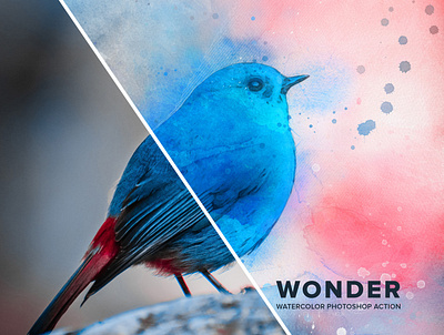 Wonder Watercolor Photoshop Action beautiful painting bird painting digital illustration digital painting gogivo graphicdesign instant download photo effect photoshop photoshop action photoshop addons photoshop artwork photoshop brushes photoshop template watercolor watercolor clipart maker watercolor painting watercolor sketch wonder action wonder watercolor action