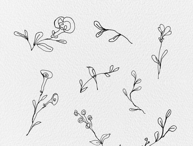 Simple Small Flower Drawing  YouTube