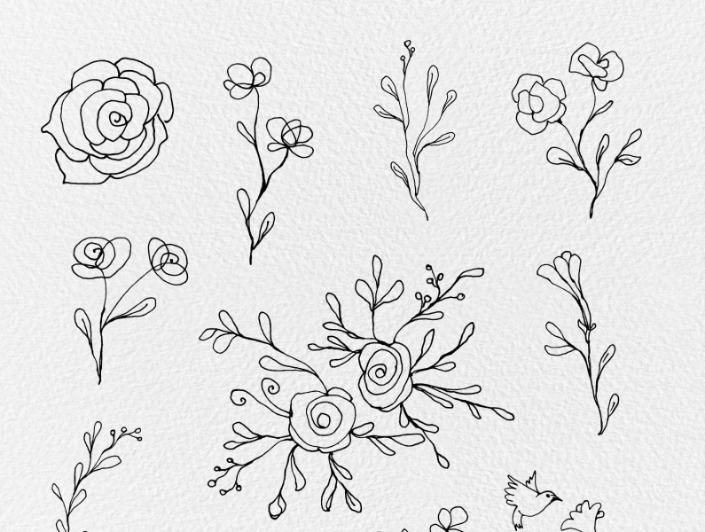 Free Floral Lines Cliparts by GoGivo on Dribbble