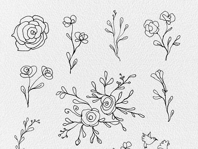 Download Free Floral Lines Cliparts By Gogivo On Dribbble
