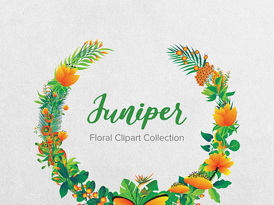 Juniper Floral Clipart Collection