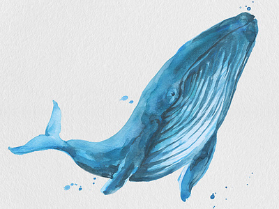 Free Blue Whale Watercolor Painting Clipart PNG