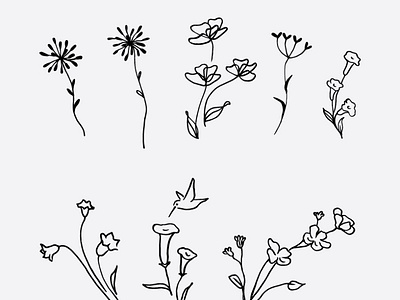 Download Free Wildflowers Vector Clip Art Hand Drawn Line Drawing By Gogivo On Dribbble