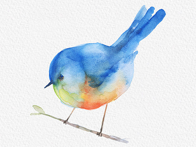 Blue Sparrow Bird Watercolor Painting Clipart