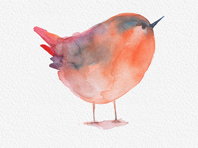 Blue Sparrow Bird Watercolor Painting Clipart