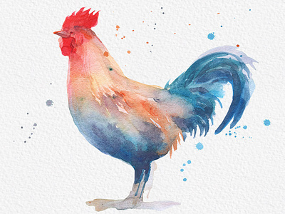 Rooster Clipart Designs Themes Templates And Downloadable Graphic Elements On Dribbble