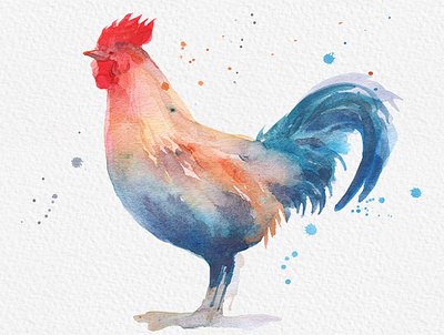 Rooster Watercolor Painting artwork creative digital digital painting download drawing gogivo graphics how to draw illustration instantdownload rooster rooster clipart rooster png rooster watercolor sketch watercolor watercolor art watercolor clipart watercolor painting