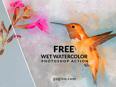 Free Wet Watercolor Effect Photoshop Action best photoshop actions free actions photoshop free download photoshop action free photoshop action free watercolor photoshop action painterly photoshop action photo effect photo effects photoshop action photoshop action free photoshop actions photoshop actions watercolor real watercolor photoshop action watercolor effect photoshop watercolor filter photoshop watercolor painting photoshop watercolor photoshop action watercolor photoshop effect watercolor splatter photoshop