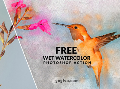 Free Wet Watercolor Effect Photoshop Action best photoshop actions free actions photoshop free download photoshop action free photoshop action free watercolor photoshop action painterly photoshop action photo effect photo effects photoshop action photoshop action free photoshop actions photoshop actions watercolor real watercolor photoshop action watercolor effect photoshop watercolor filter photoshop watercolor painting photoshop watercolor photoshop action watercolor photoshop effect watercolor splatter photoshop
