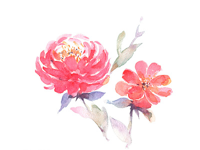Free Watercolor Peony Flower Painting Clipart | PNG