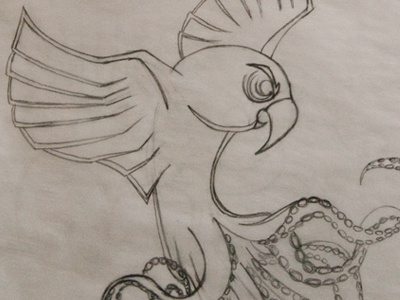 Octoparrot sketch bird mutant octoparrot sketch wip