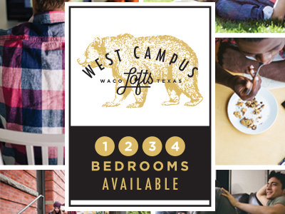 West Campus Lofts Ad advert bear black gold layout lofts