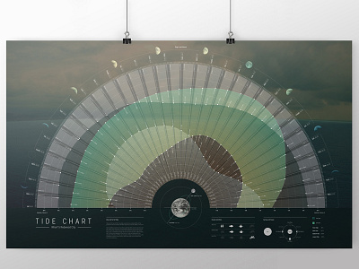 Tide Chart Infographic design graphic design infographic information typography