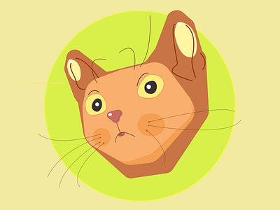 Suspecting cat cat color figma illustration