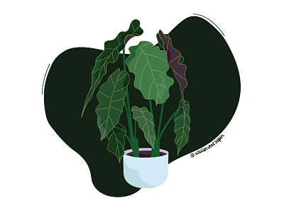 GREEN PLANT 3 illustration illustrator illustrator design