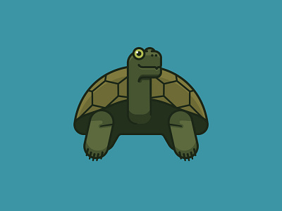 #DarwinDay on February 12th icon illustration observance tortoise turtle vector