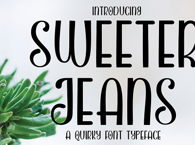 SWEETER JEANS animation font awesome font design hand drawn illustration lettering monograms monongramfont relicksiland typography ui