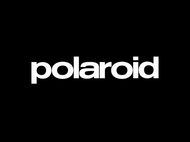 polaroid logo animation 2d 2d animation animation black branding clean design logo motion motion graphic simple typography vector