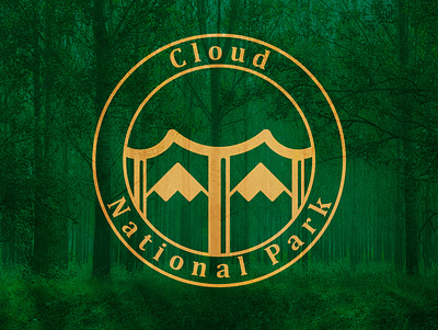 CloudNP branding design logo