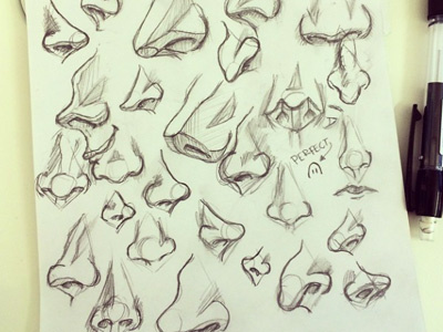Nose Study nose sketch