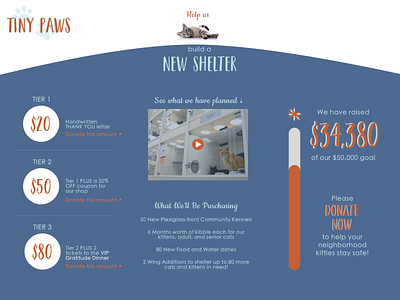 Crowdfunding animal cats crowdfund crowdfunding crowdfunding campaign daily ui dailyui dailyui 032 dailyuichallenge fundraiser fundraising kittens shelter