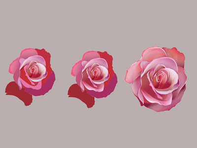 Undead Beauty: Rose progress gaks illlustration pink rose vector