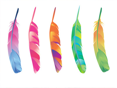 Candy Elk Dreamer's feather detail colourful gaks gaks designs graphic design illustration vector