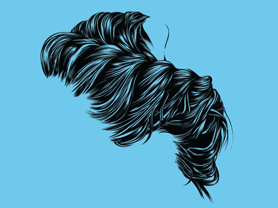 Hair Wip black blue hair pen tool vector