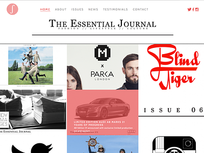 The Essential Journal Website design development digital newspaper web website