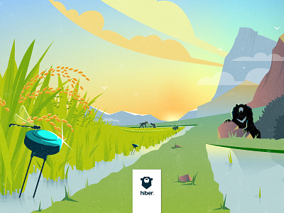 Hiber - Hero illustration "rice fields" branding illustration illustrator cc procreate app vector