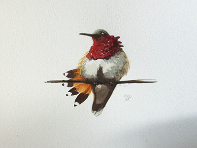 Birds bird illustration watercolor