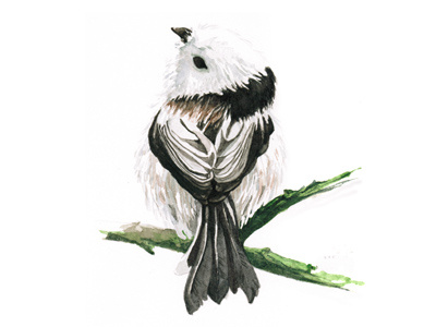 Piupiu2 cute bird watercolor