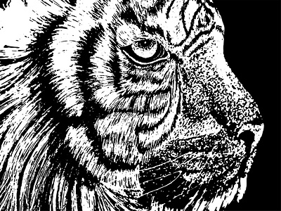 Black and white tiger illustration