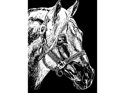 Black and White Illustration of Horse