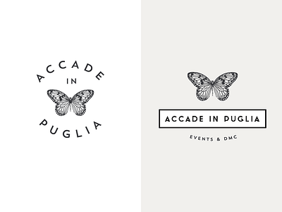 Accade In Puglia Branding - Butterfly proposal branding butterfly drawn event handdrawn identity llustration logo logotype typography written