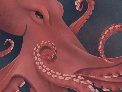 Octopus affinity designer art artwork digital digital illustration illustration illustration art illustrator octopus underwater