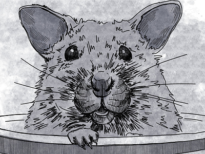 Fuzzy / Inktober 21 animal artwork cute digital illustration fuzzy graphics illustration illustration art illustrator inktober mouse