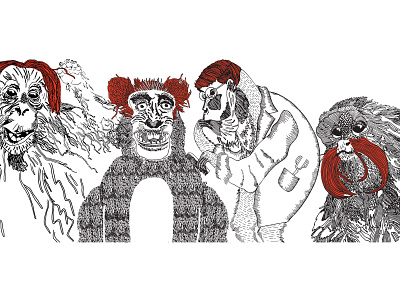 Monkey barbershop animal art animalillustration design illustration monkey monkeyillustration