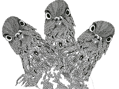 pigeon animal art animalillustration illustration