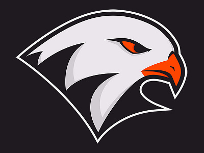 Wheaton Ballhawks baseball illustrator logo vector