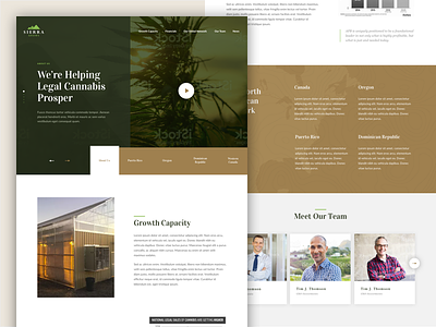 Cannabis Company Concept branding cannabis green homepage landing page marijuana ui web webdesign website