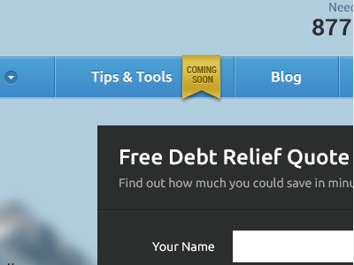 Debt Website form navigation ribbon ui