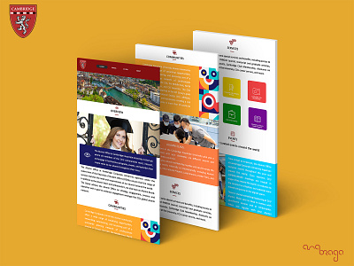 Cambridge Corporate University Site branding design designart graphicdesign illustration ui web