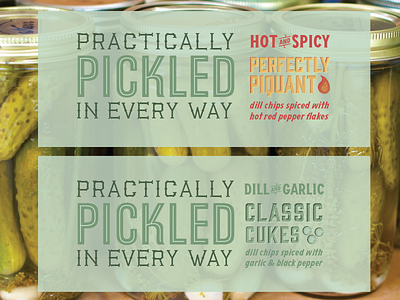 Practically Pickled Labels branding cucumber label pickles typography