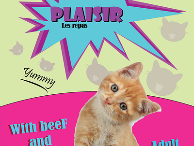 Plasir cats food design graphic design illustration vector