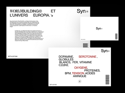 Syno Project branding design elegant futur futuristic typography