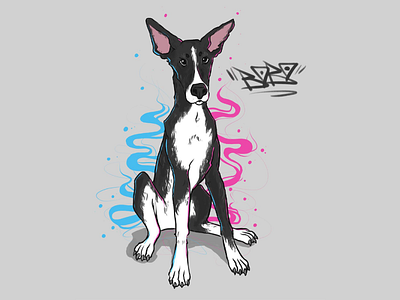 Doggo Bobo animal animal art animal illustration art artist artwork bobo digital digital illustration digital painting digitalart dog doggo draw drawing drawingart illustration painting pet procreate