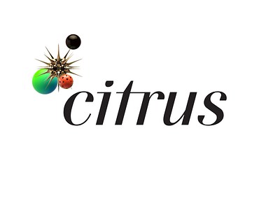 Citrus Cosmic Identity art director art print branding erohnovich identity logo typography whomakesit