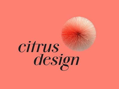 Citrus Cosmic Identity 3d art director art print branding erohnovich identity illustration logo typography whomakesit