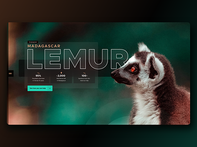 Lemur Awareness + Conservation Landing Page homepage ui web website